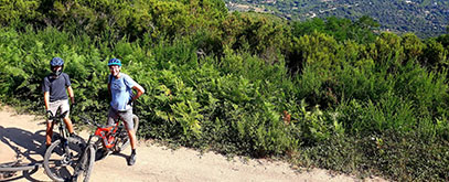 E-Bike Tour Isola d'Elba